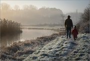 Brian Marcer - Morning Walk